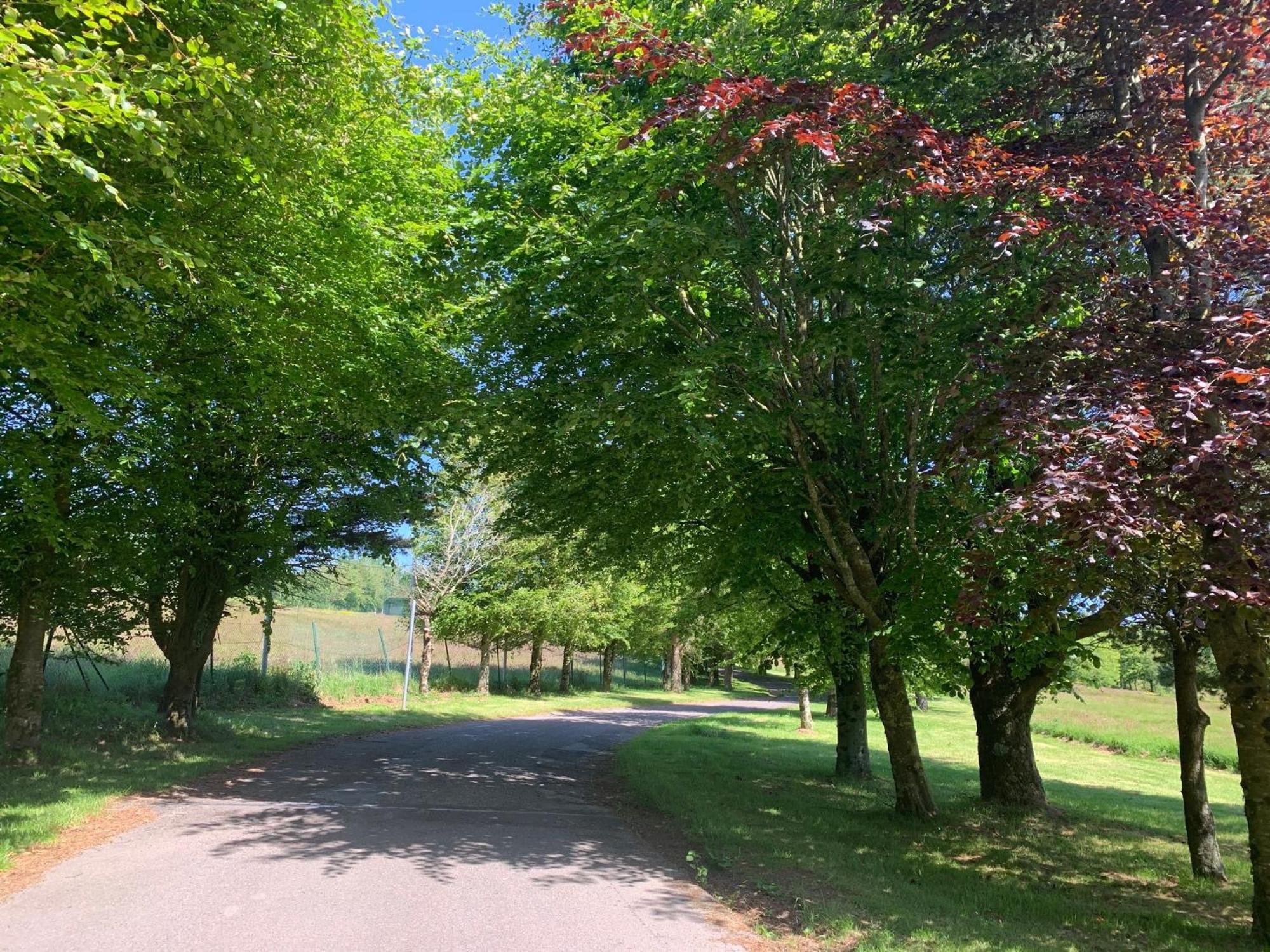 Fernhill Lodge Carrigaline Esterno foto