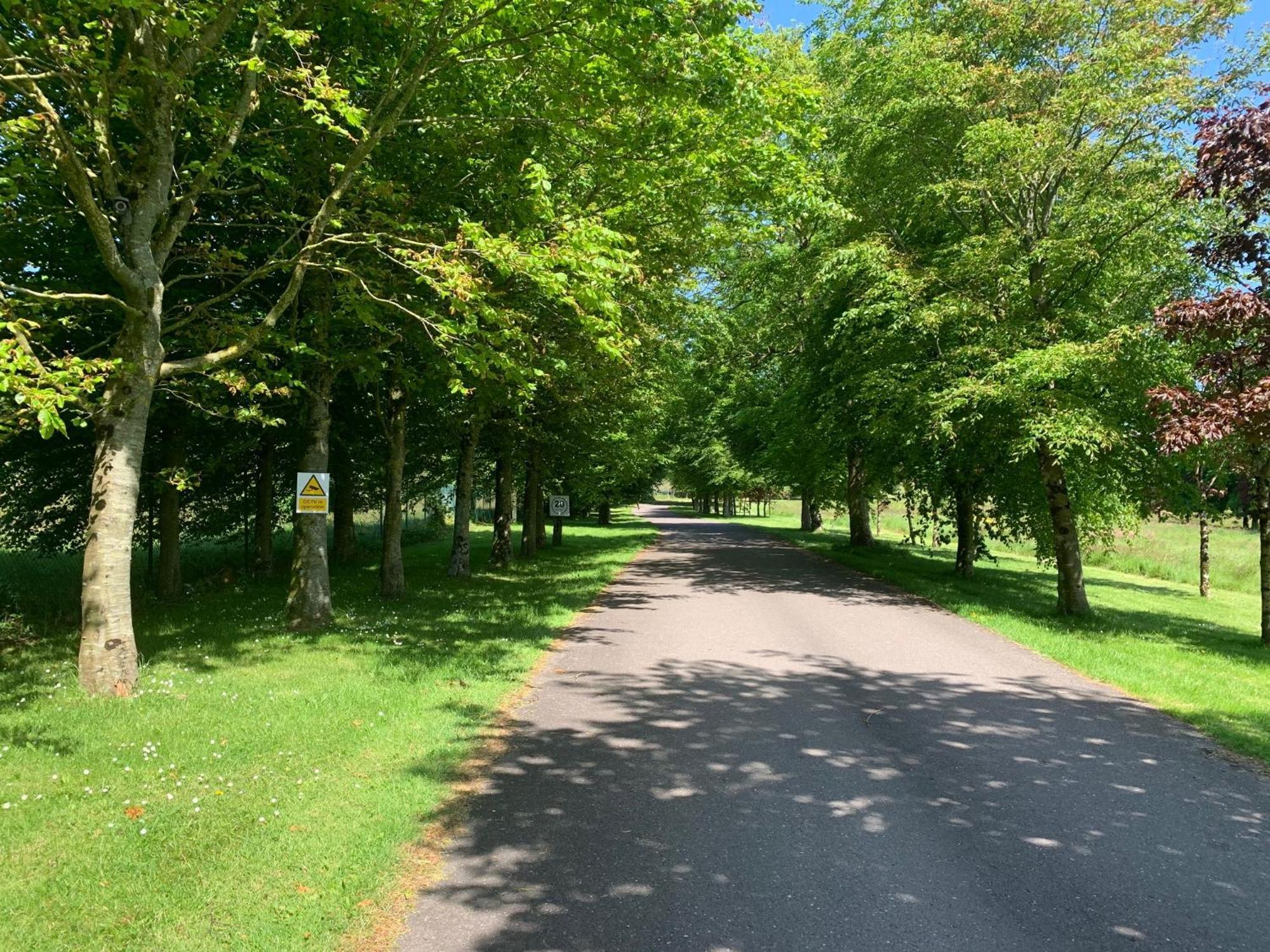 Fernhill Lodge Carrigaline Esterno foto
