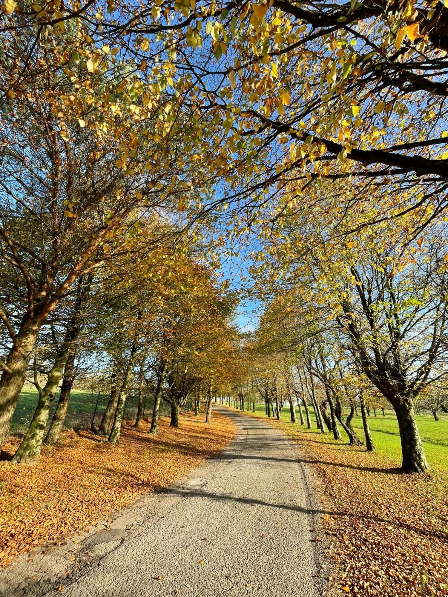 Fernhill Lodge Carrigaline Esterno foto
